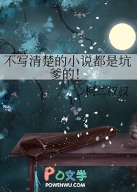 不写清楚的小说都是坑爹的